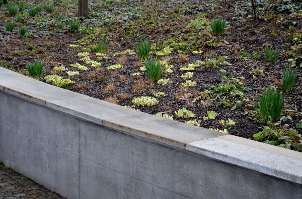 Concrete Wall Construction in Beaumont