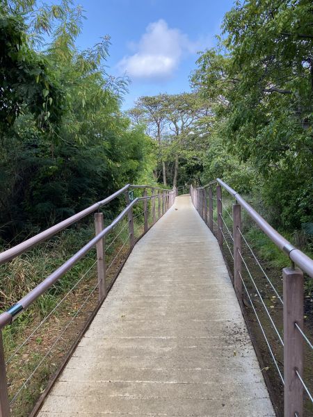 Footpath Construction in Beaumont