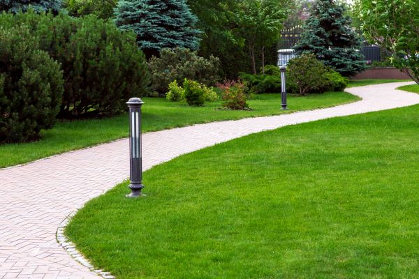 Backyard Sidewalk Installation in Beaumont