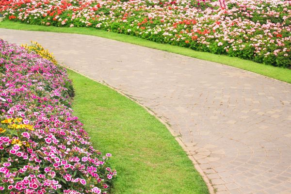 Concrete Walkway Service in Beaumont